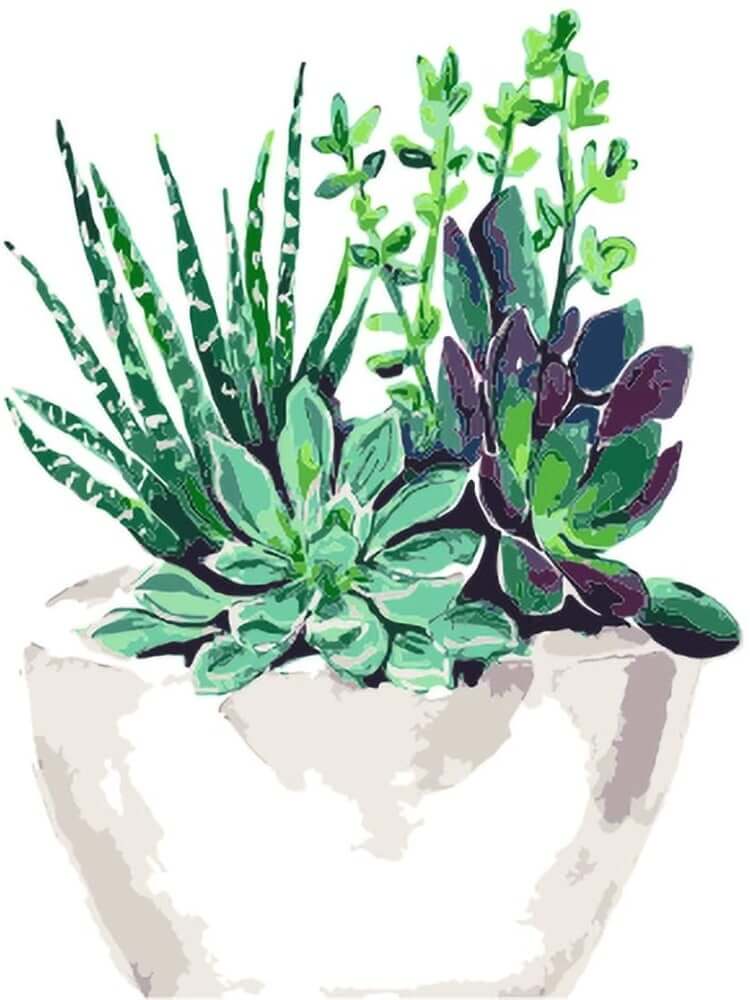 Succulent Plant Pot - Paint by Numbers Kit