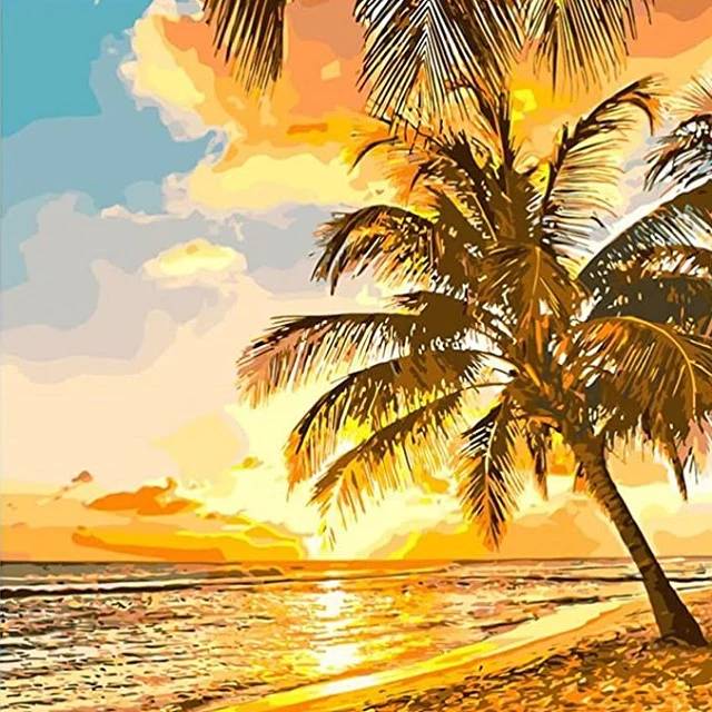 Sunset and Palms - Paint by Numbers Kit