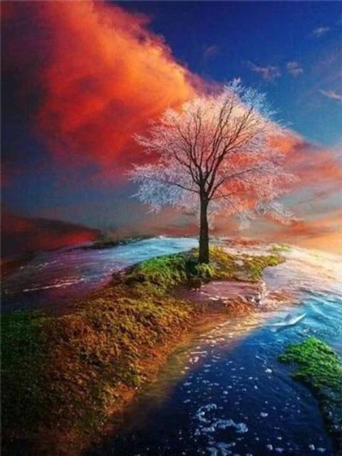 Colorful Tree - Paint by Numbers Kit