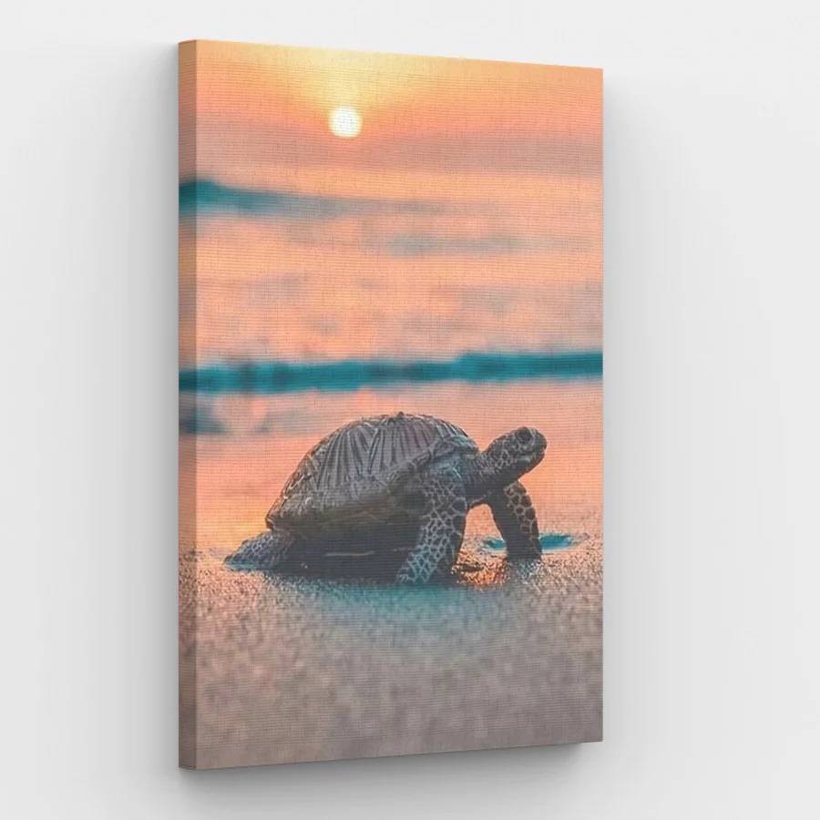 Turtle on the Beach - Paint by Numbers Kit