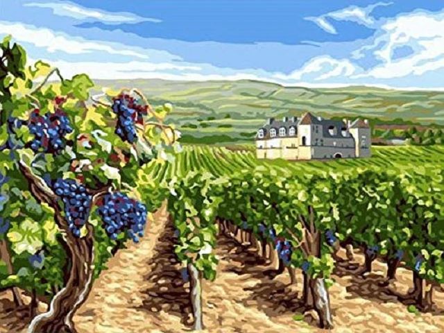 Vineyard - Paint by Numbers Kit