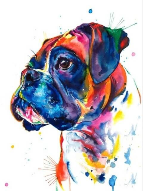 Boxer Dog - Paint by Numbers Kit
