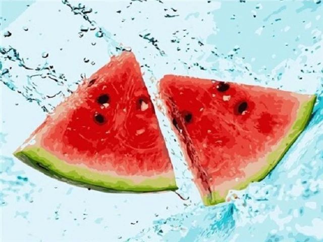 Watermelon Slices - Paint by Numbers Kit
