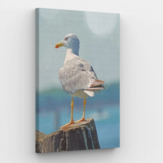 White Seagull - Paint by Numbers Kit