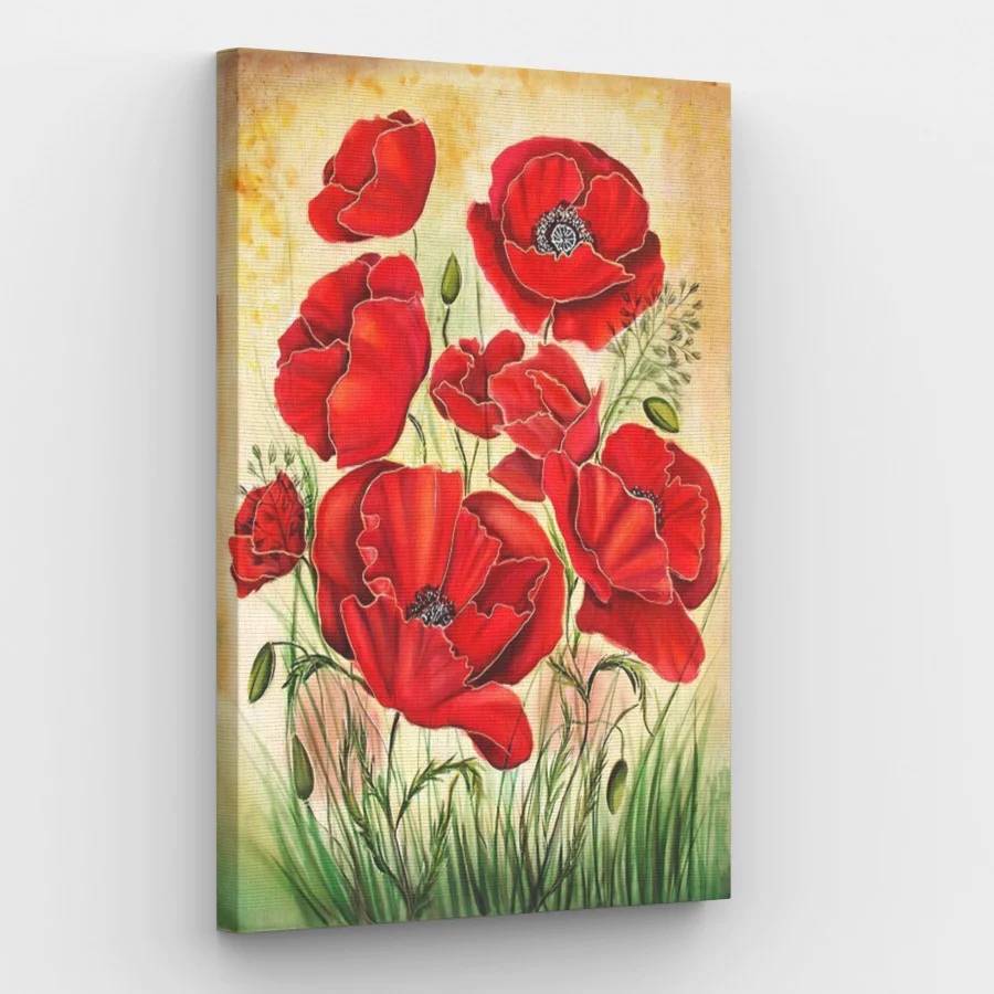 Wild Red Poppy Flowers - Paint by Numbers Kit
