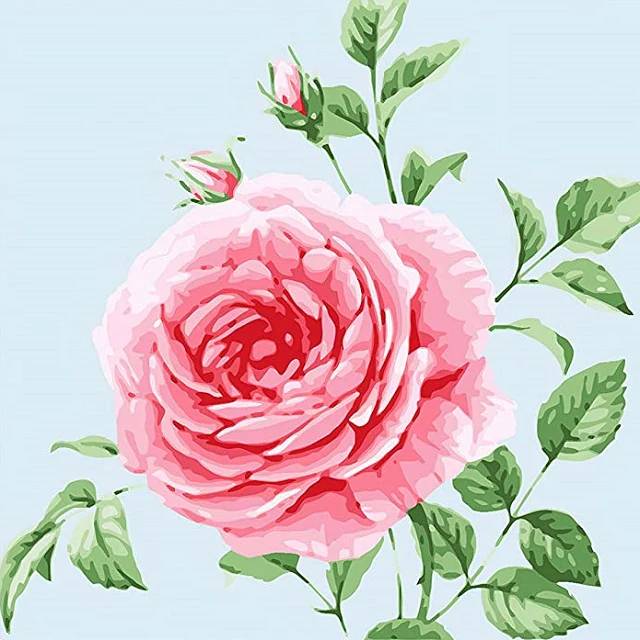 Wild Rose - Paint by Numbers Kit