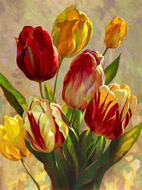 Yellow Red Tulips - Paint by Numbers Kit